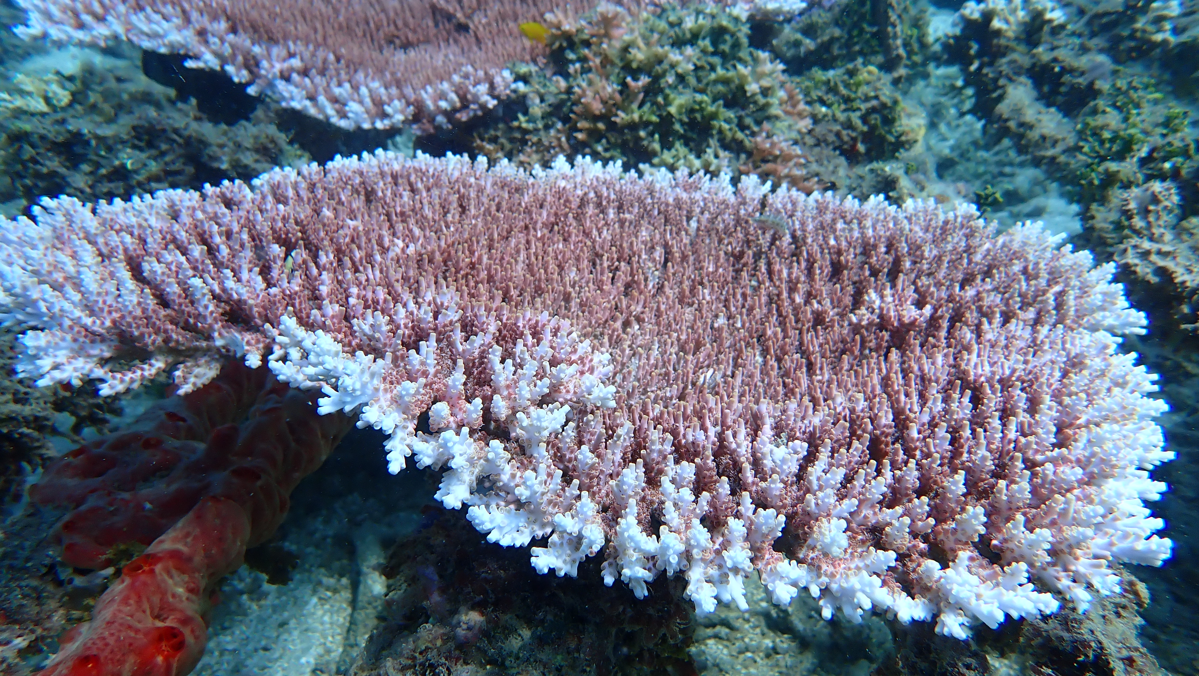 Petualangan Laut 3