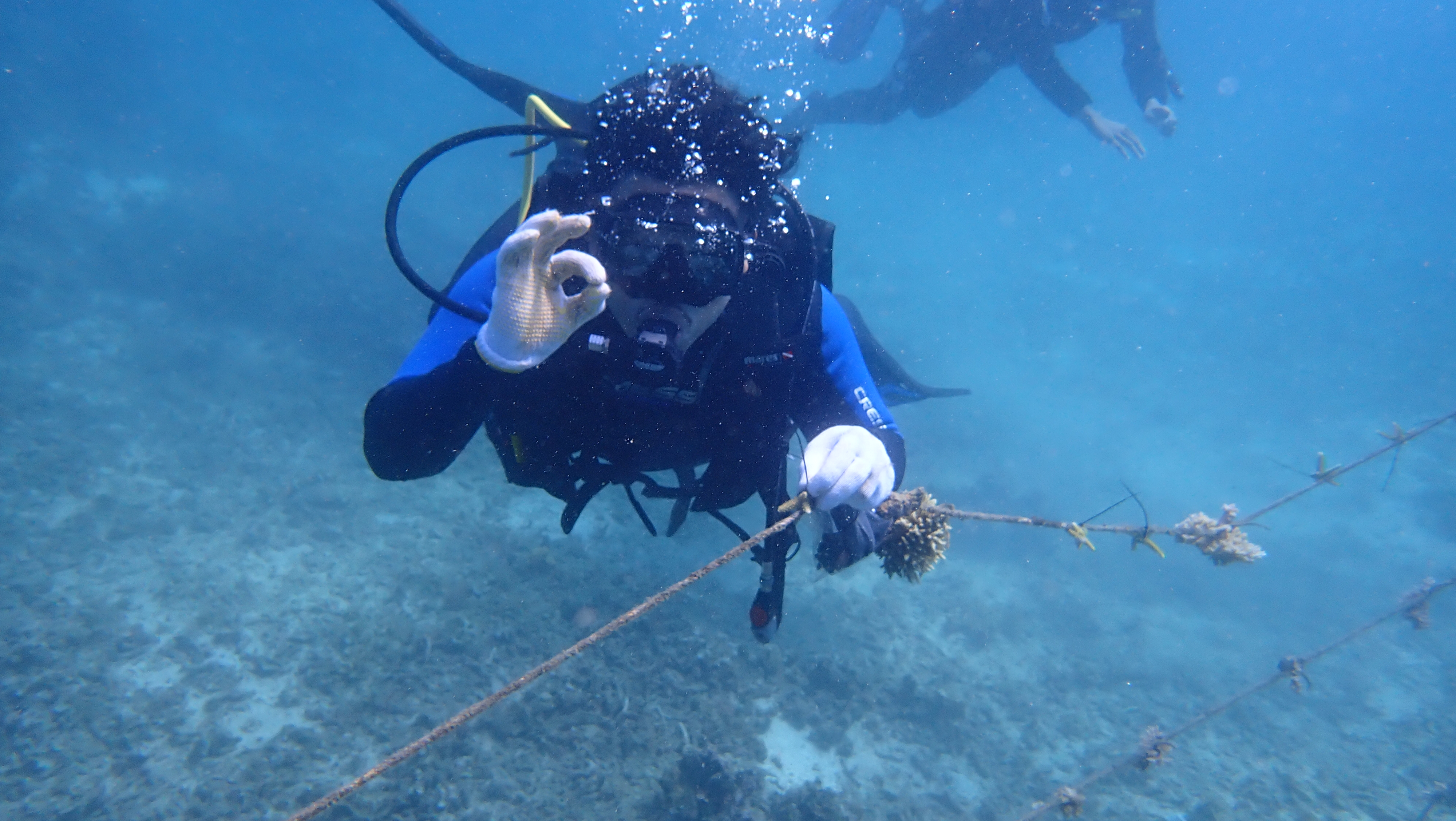Petualangan Laut 2