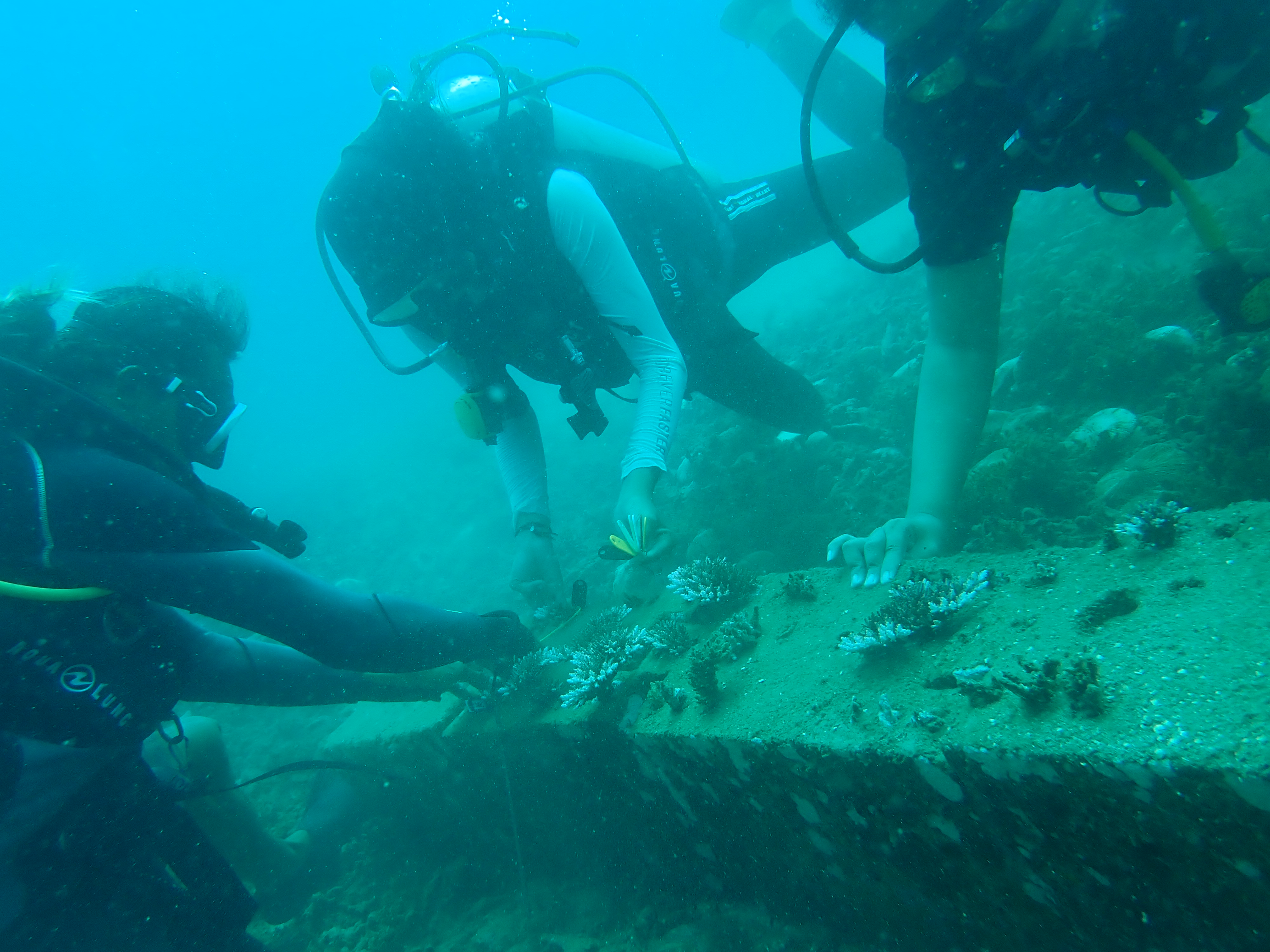 Petualangan Laut 1